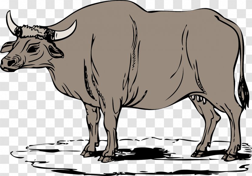 Cattle Water Buffalo Ox Clip Art - Horse Like Mammal - Cow Man Transparent PNG