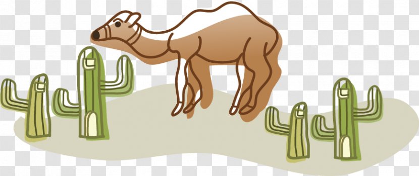 Camel Cartoon Clip Art - Joint - Cute Transparent PNG