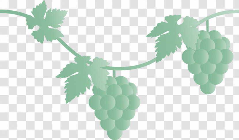 Grape Grapes Fruit Transparent PNG