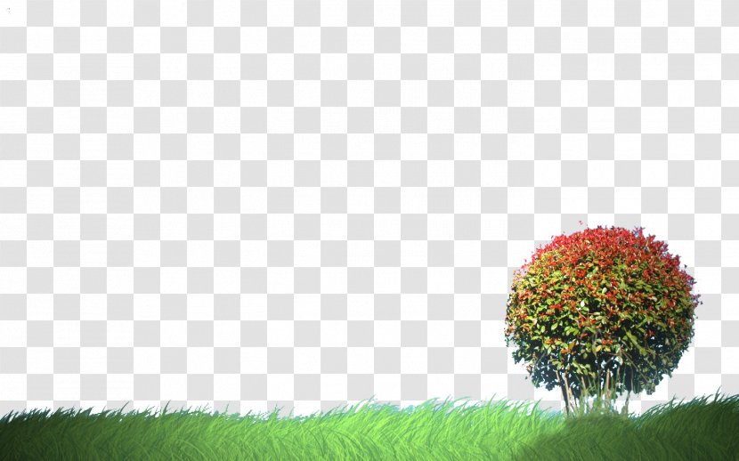 Tree Lawn Clip Art - Search Engine Transparent PNG