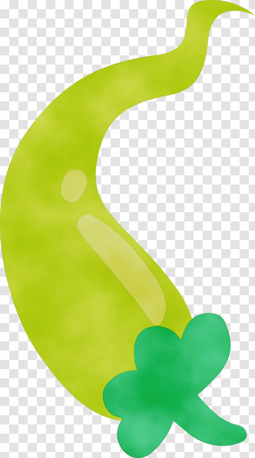 Leaf Green Symbol Plants Biology Transparent PNG