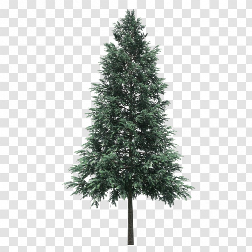 Artificial Christmas Tree Day Pre-lit Conifer Cone - Pine Family - Green Trees Transparent PNG