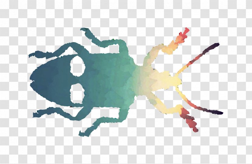 Beetle Font Pest Membrane Insect - Parasite Transparent PNG