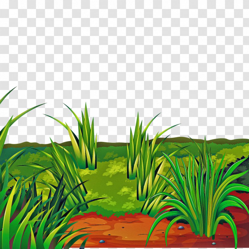Grass Vegetation Green Plant Family - Landscape - Meadow Sweet Transparent PNG