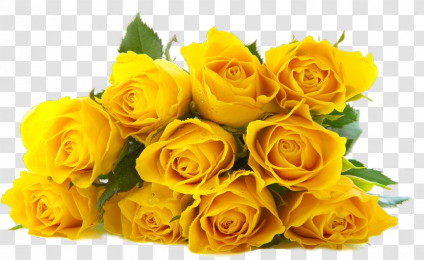 Rose Flower Bouquet Yellow - Family Transparent PNG