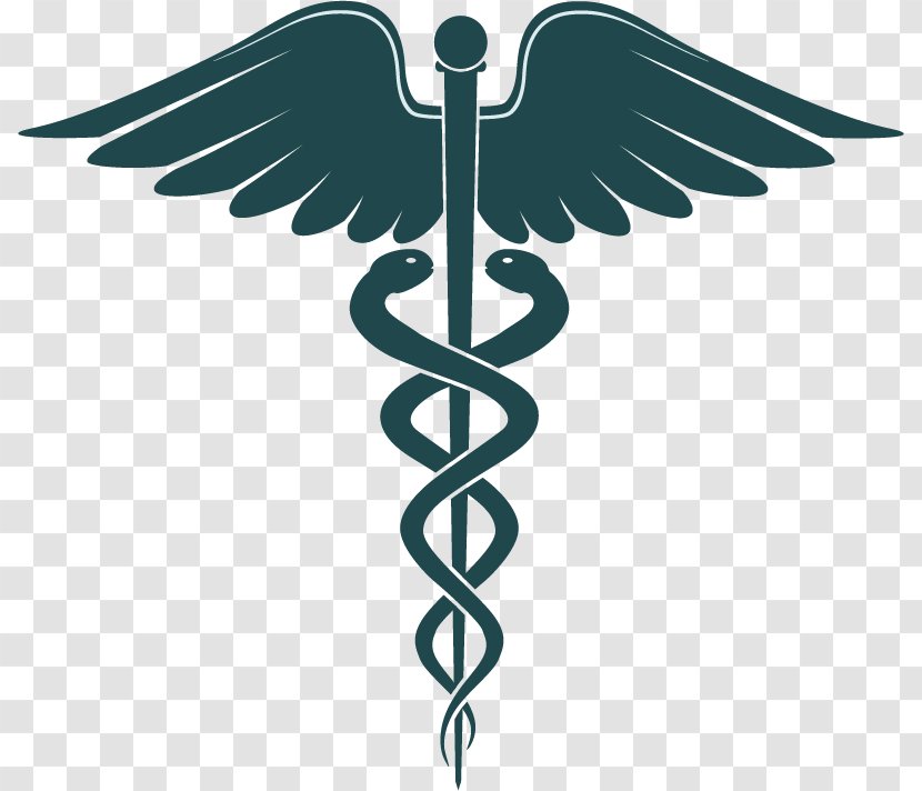 Health Care Medicine Insurance Portability And Accountability Act Management - Symbol - Angel Icon Vector Transparent PNG