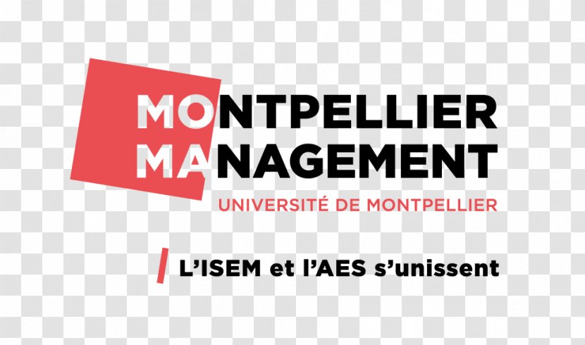 Institut Montpellier Management University Of Entrepreneurship Human Resource - Strategic - Pilote Transparent PNG