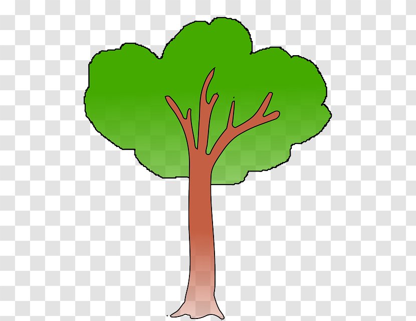 Branch Tree Clip Art - Drawing - Trunk Clipart Transparent PNG
