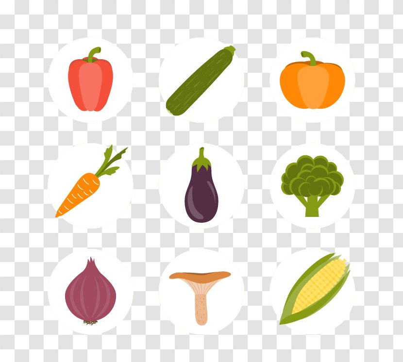 Maize Euclidean Vector Corncob Icon - Food - Cute Little Vegetables Transparent PNG