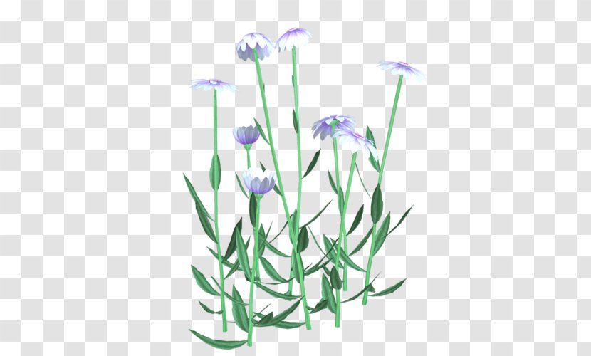 Watercolor Painting Watercolour Flowers - Rgb Color Model - Grass Family Transparent PNG