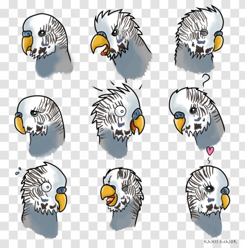 Budgerigar Cockatiel Bird Beak Eclectus Parrot - Budgie Transparent PNG