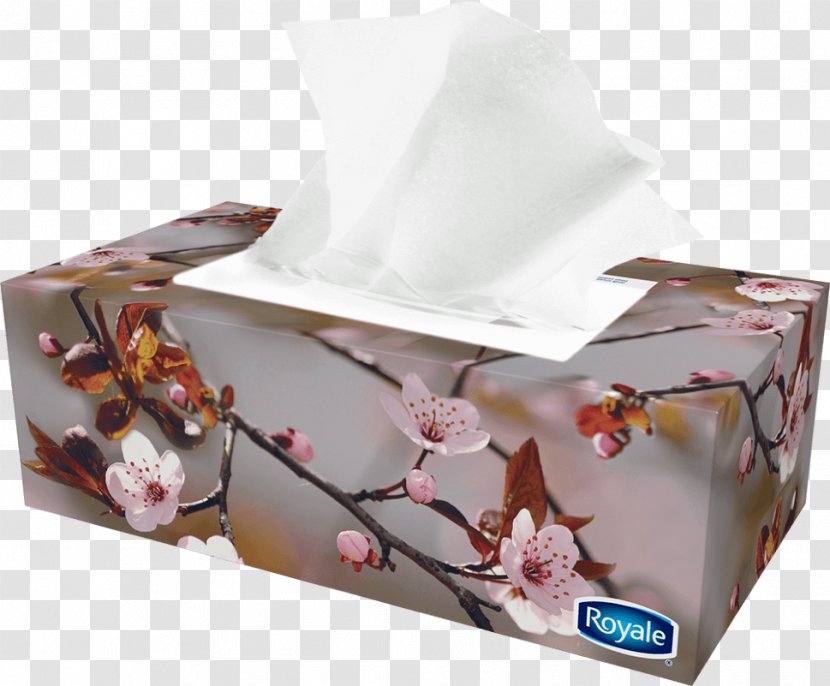 Tissue Paper Box Facial Tissues Royale - Gift Transparent PNG