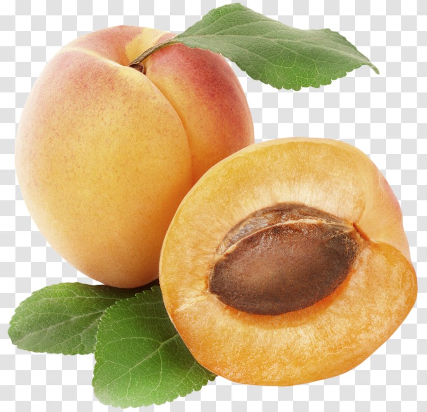 Apricot Fruit Clip Art - Peach Transparent PNG