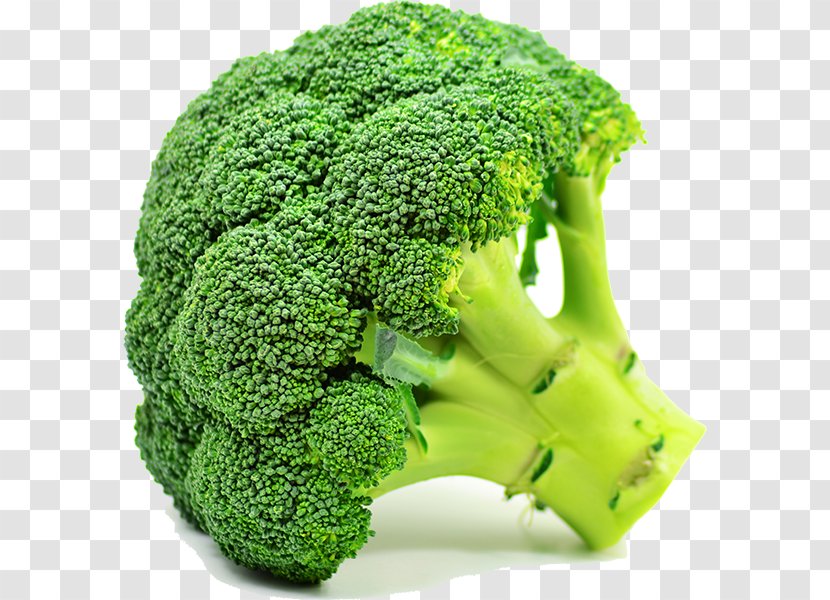Organic Food Broccoli Vegetable Produce Vegetarian Cuisine - Can Transparent PNG