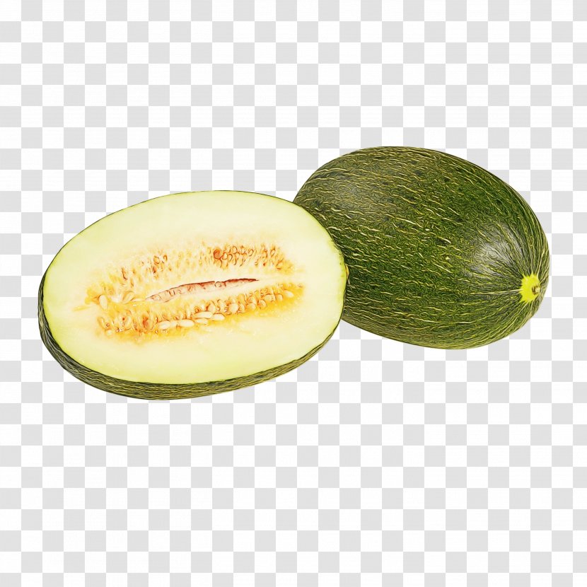 Winter Cartoon - Galia - Melon Gem Squash Transparent PNG