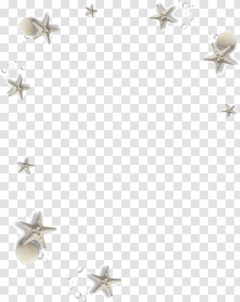 Adobe Illustrator Download - White - Floating Starfish Transparent PNG
