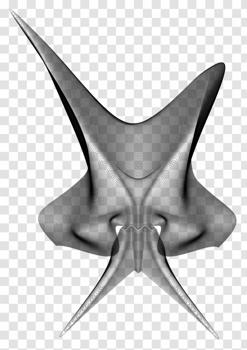 Starfish Line Symmetry Angle - Marine Invertebrates - Skull Devil Transparent PNG