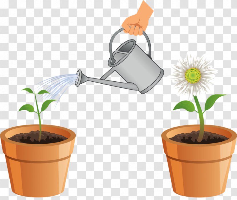 Flower Drawing Plant Transparent PNG