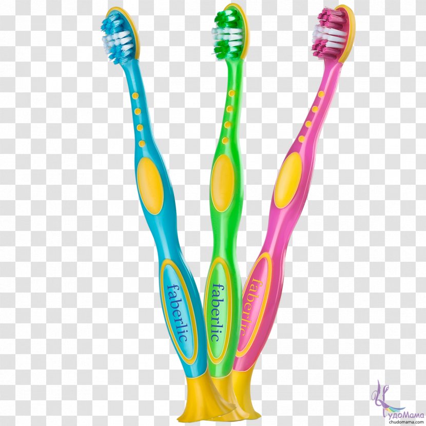 Toothbrush Faberlic Gums - Toothpaste - Toothbrash Transparent PNG