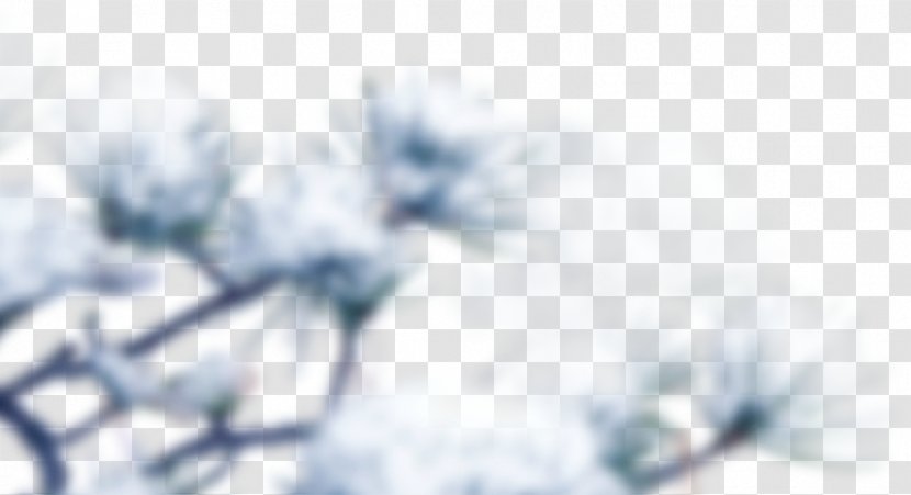 Snow Winter Painting - Art - Pressure Branch Transparent PNG