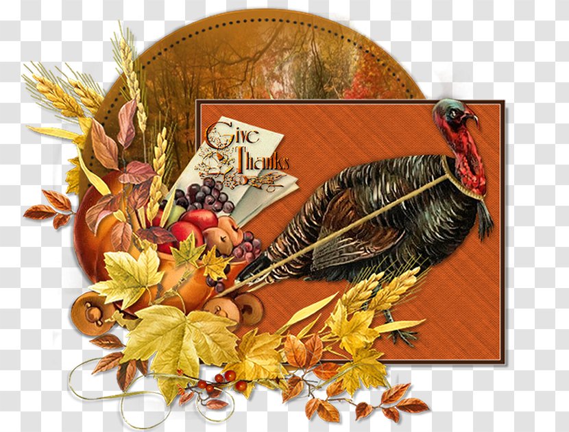 Thanksgiving Ivy Transparent PNG