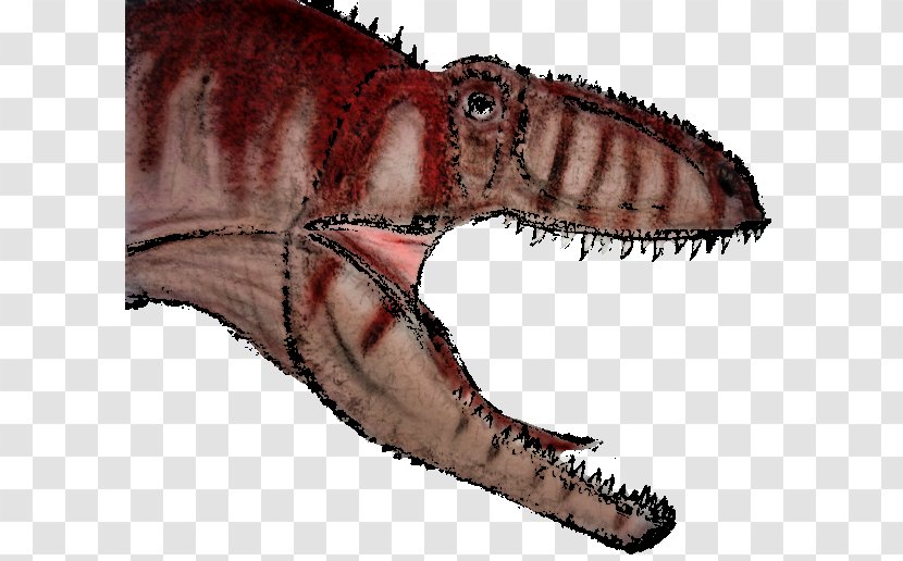 Tyrannosaurus Giganotosaurus Carcharodontosaurus Spinosaurus Dinosaur Transparent PNG