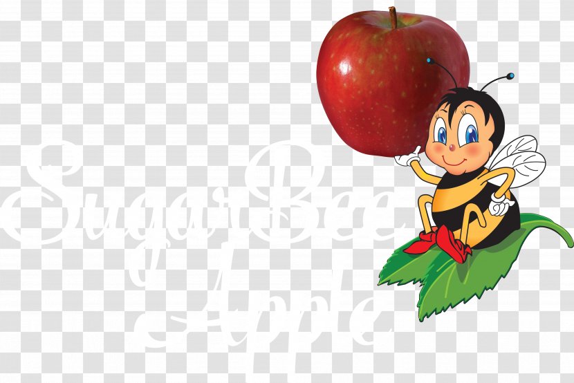 Apple SugarBee Honeycrisp Clip Art Transparent PNG