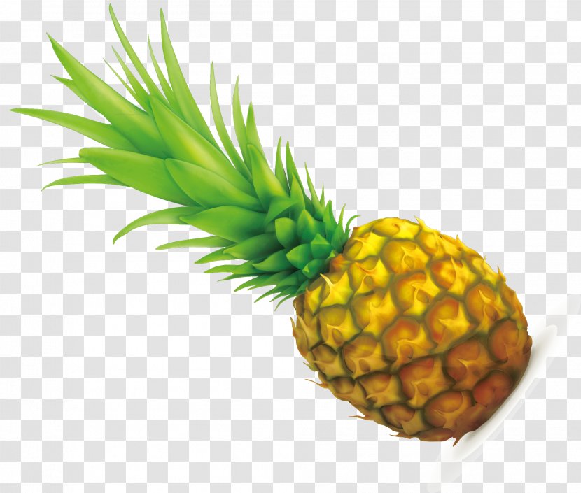 Pineapple - Color - Hand Painted Yellow Green Seeding Vector Transparent PNG