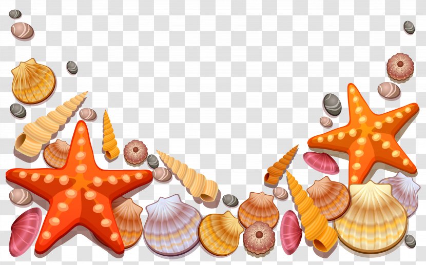 Seashell Starfish Beach Clip Art - Food Transparent PNG