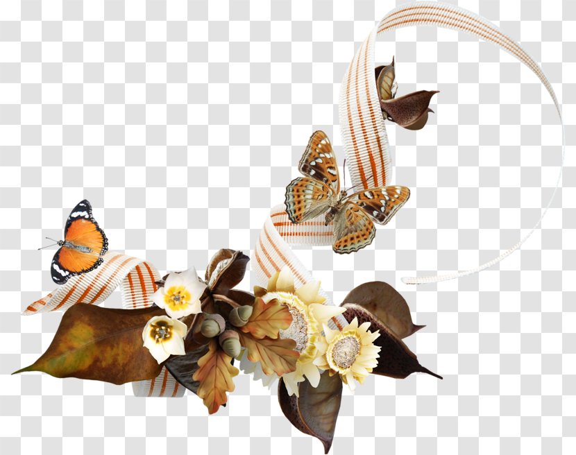 Centerblog Image Photography - Moths And Butterflies - Creative Still Life Decoration Transparent PNG