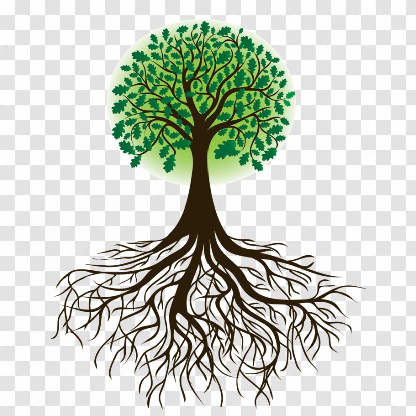 Root Tree Drawing Clip Art - System Transparent PNG