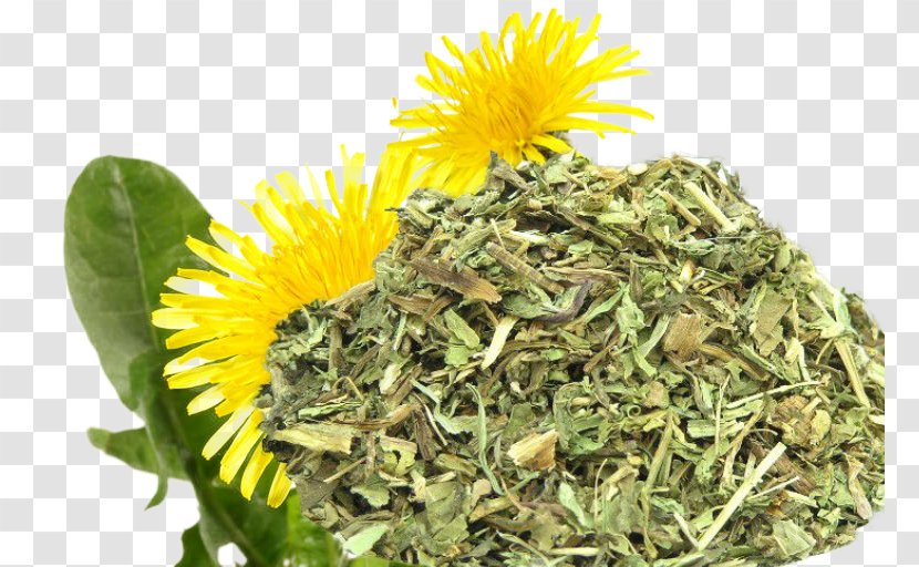 Dandelion Food Vegetarian Cuisine Pikantum KG Tea - Vegetarianism - Paprika Bbq Transparent PNG