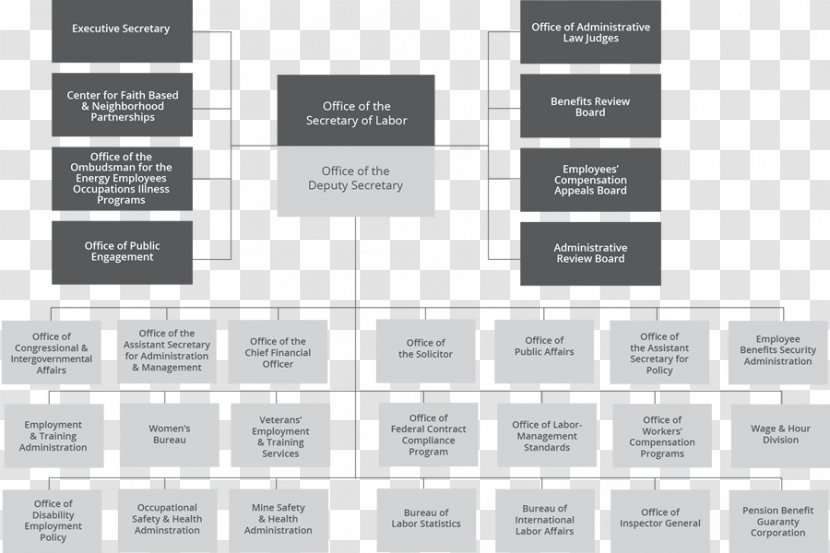 Brand Font - Document - Supply Chain Organizational Structure Transparent PNG
