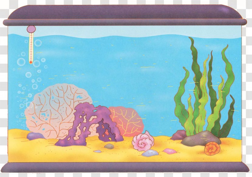 Aquariums Marine Biology Painting Organism - Rectangle - Aquarium Transparent PNG