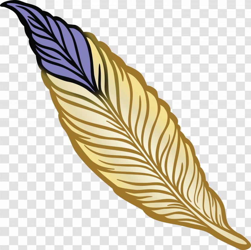 Feather Drawing Bird Clip Art - Feathers Vector Transparent PNG