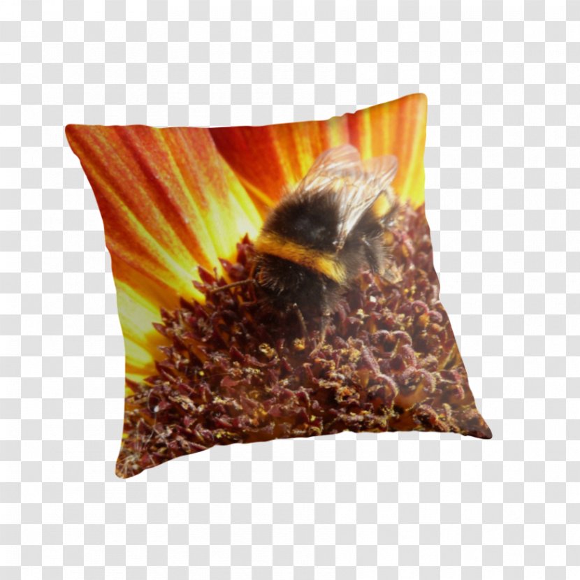 Cushion - Bee - Sunflower Decorative Material Transparent PNG