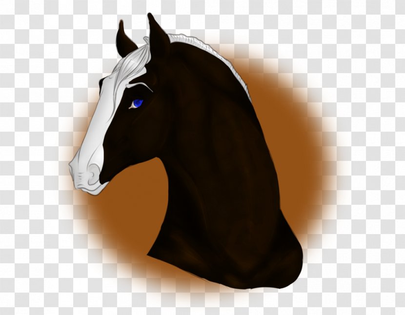 Mustang Stallion Halter Pony Rein - Horse Tack Transparent PNG