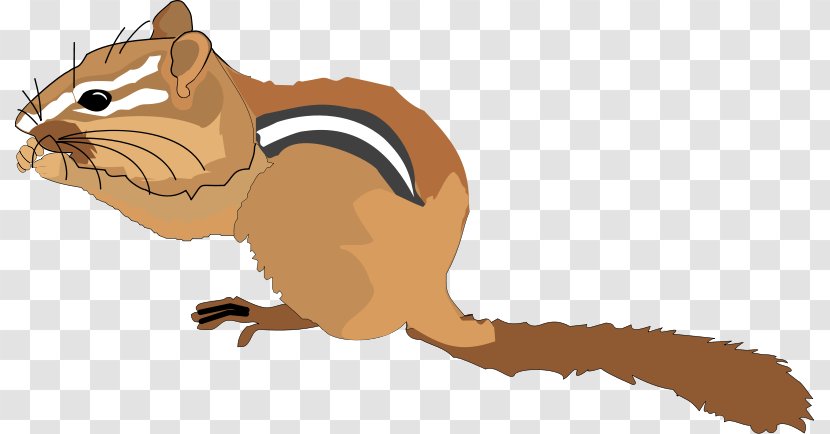 Chipmunk Squirrel Rodent Royalty-free Clip Art - Chip N Dale - Animal Cliparts Transparent PNG