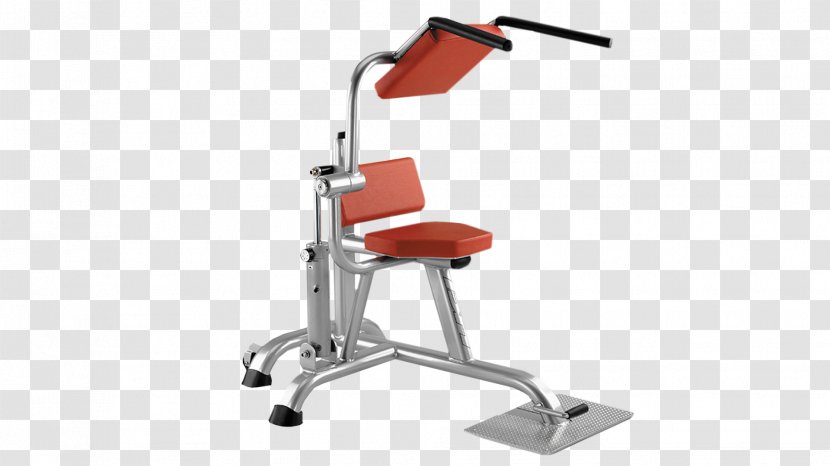 Crunch Row Bench Physical Fitness Human Back - Chair - Abdominal Movement Transparent PNG