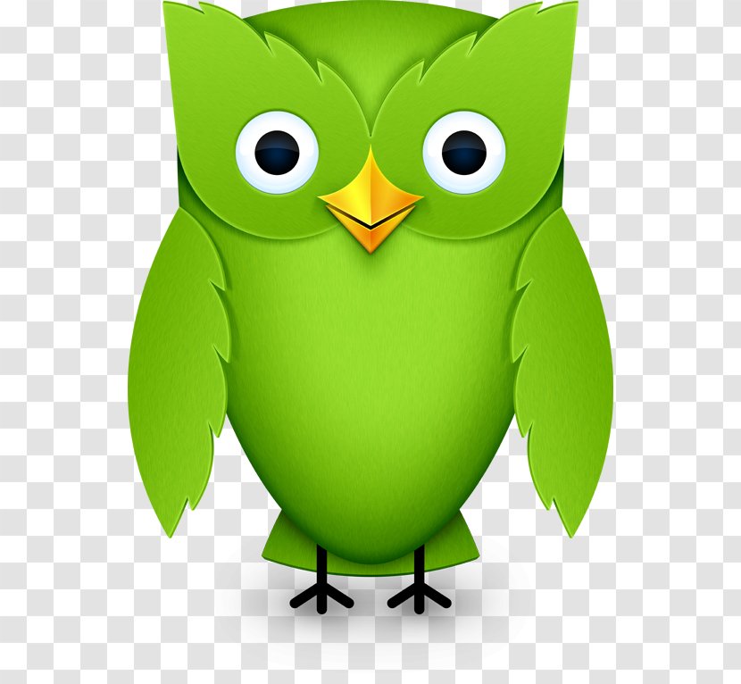 Duolingo Learning Language Translation - Owl Transparent PNG