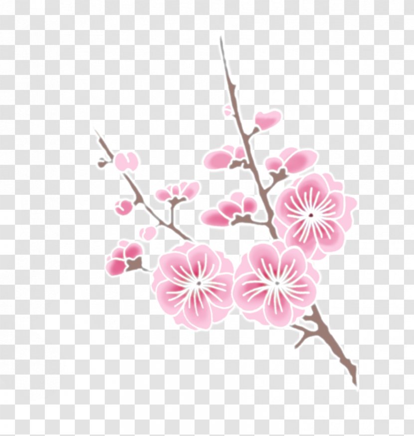 Cherry Blossom Drawing Clip Art - Clipart Transparent PNG