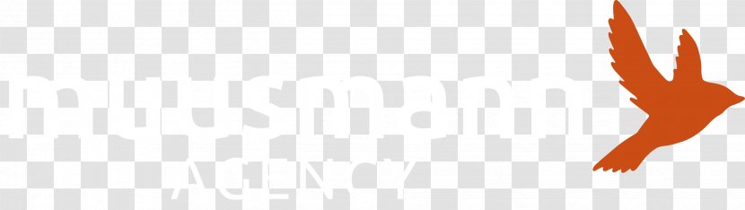 Eagle Desktop Wallpaper Font Beak Close-up - Closeup - Agency Publisher Transparent PNG