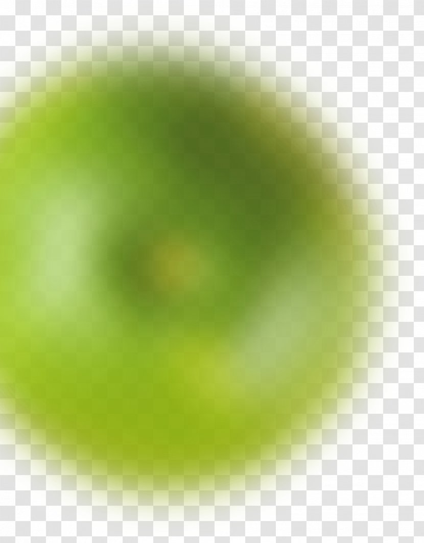 Soly Import Lyon Delivery Business Wholesale - Green - Pomme Transparent PNG