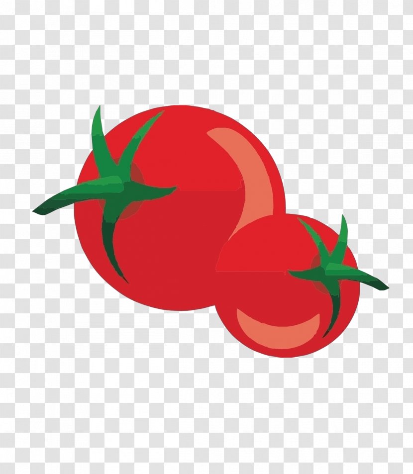 Pizza Tomato Cartoon - Green Transparent PNG