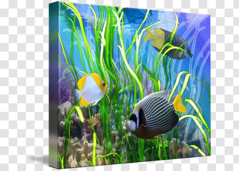 Coral Reef Fish Ecosystem Aquarium Marine Biology - Seagrass Transparent PNG