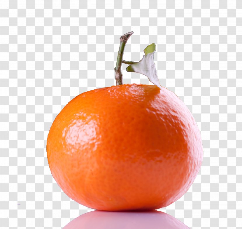 Clementine Tangerine Mandarin Orange Tangelo Vegetarian Cuisine - Grapefruit Transparent PNG