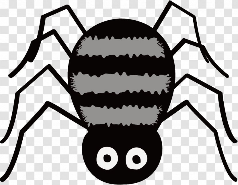Spider Halloween - Arachnid Widow Transparent PNG