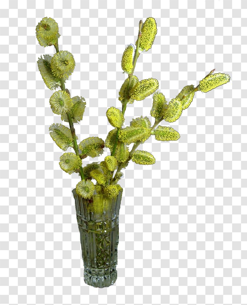 Willow Palm Sunday Flower Bouquet Clip Art - Photography - Plant Stem Transparent PNG