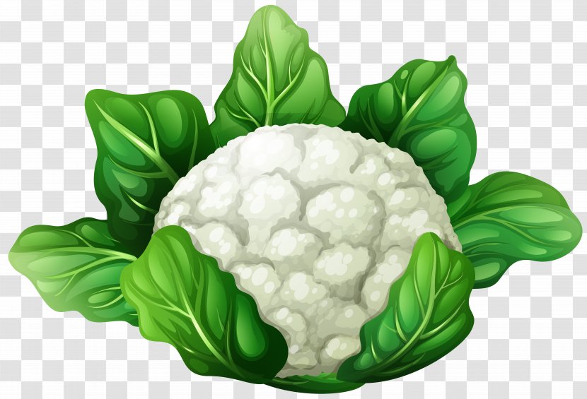 Cauliflower Vegetable Clip Art - Plant - Cabbage Transparent PNG