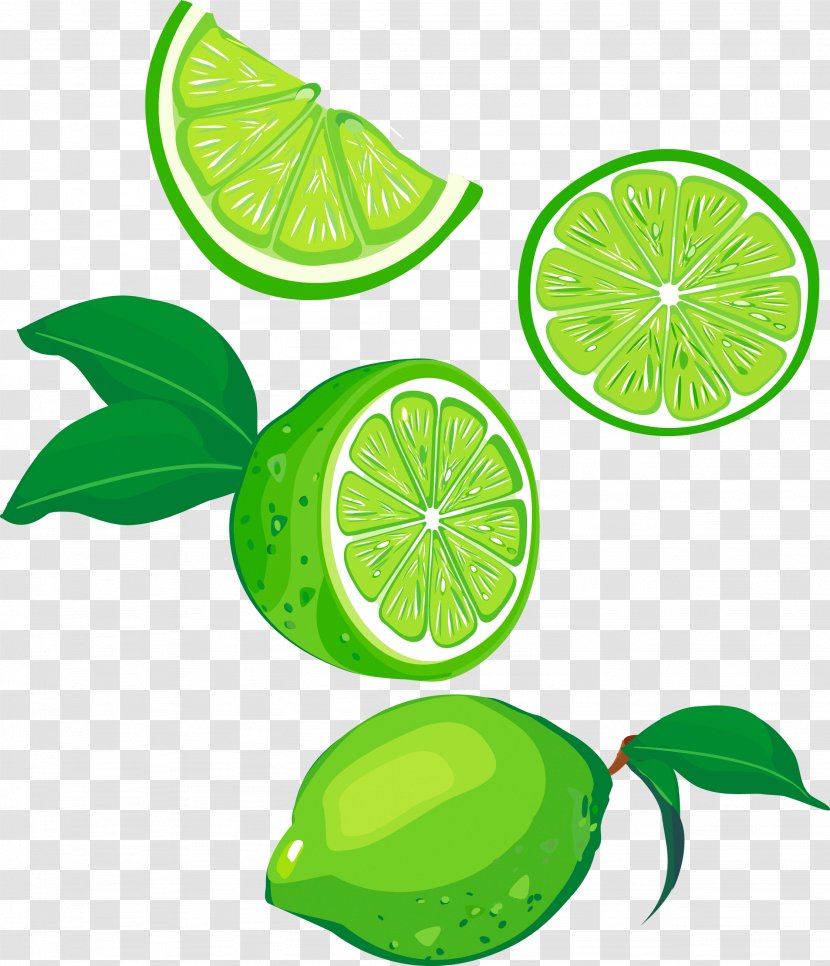 Lemon Lime Fruit Green - Plant Transparent PNG